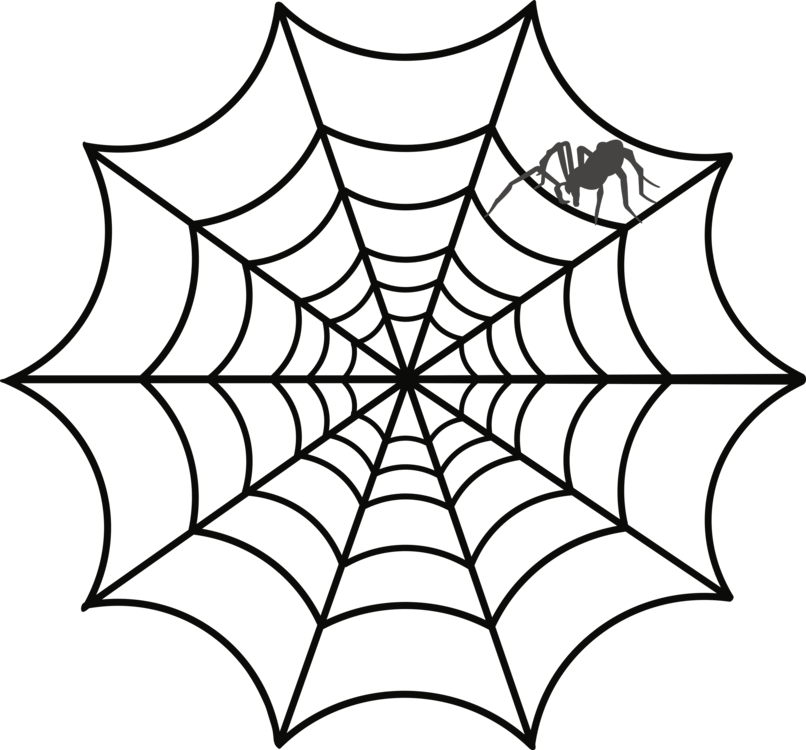 Spider Webwith Spider Graphic PNG