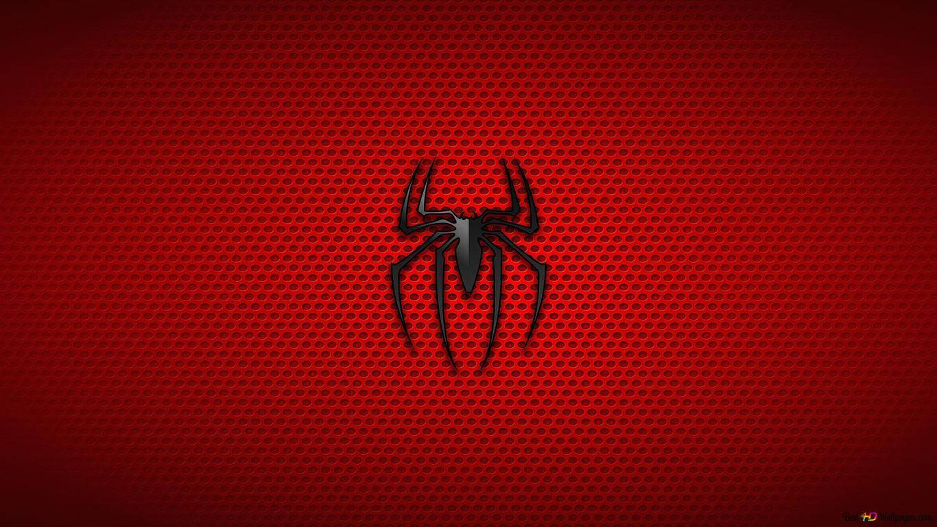 Image  Spider-Man ready for battle in downtown city Wallpaper