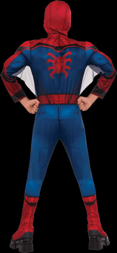Spiderman Costume Back Pose PNG