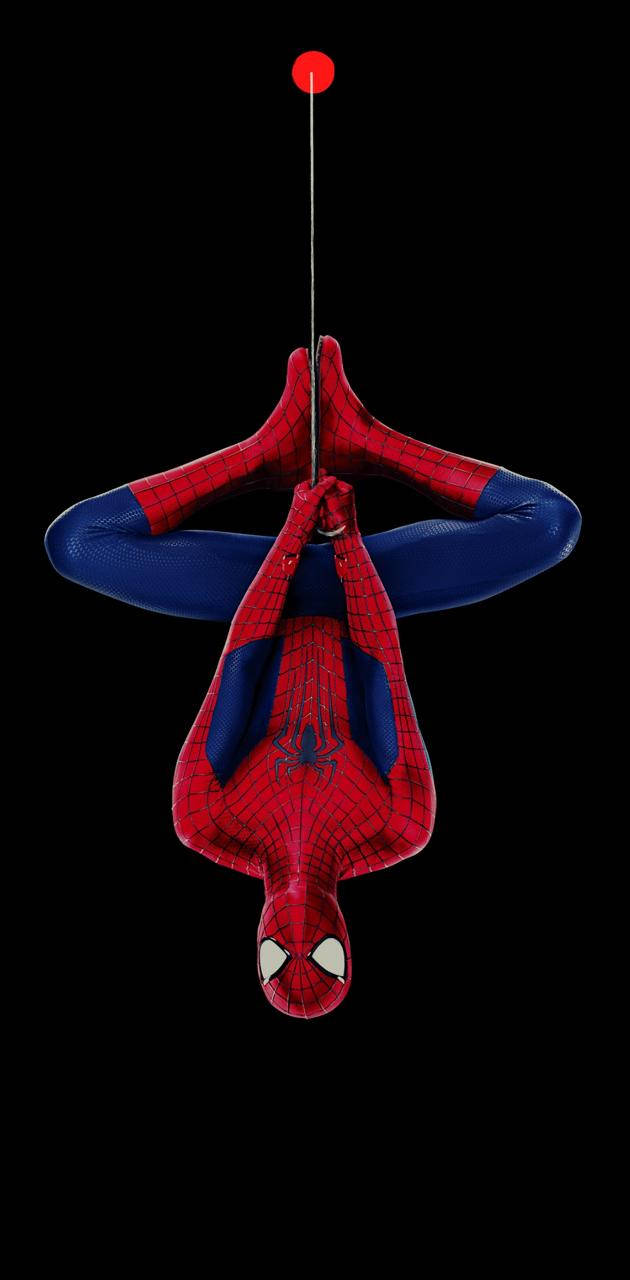 Spiderman Hanging Upside Down By The Punch Hole Background