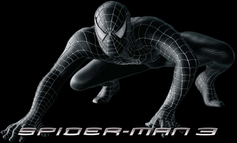 Spiderman3 Black Suit Pose PNG
