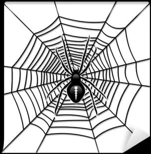 Spideron Web Graphic PNG