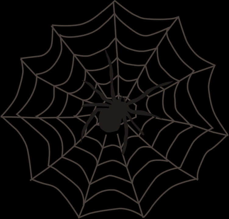 Spideron Web Silhouette PNG