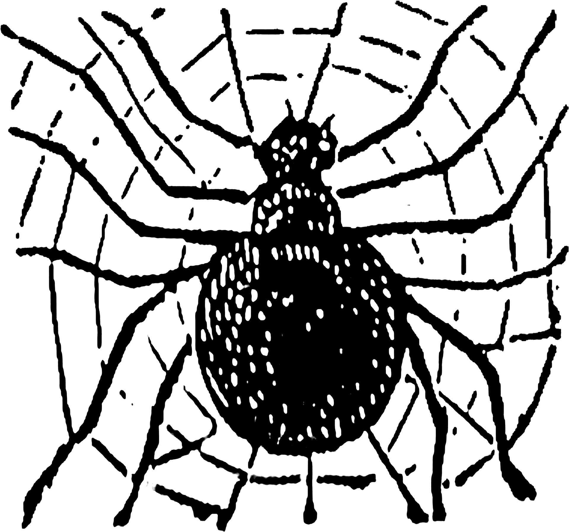 Spideron Web Sketch PNG
