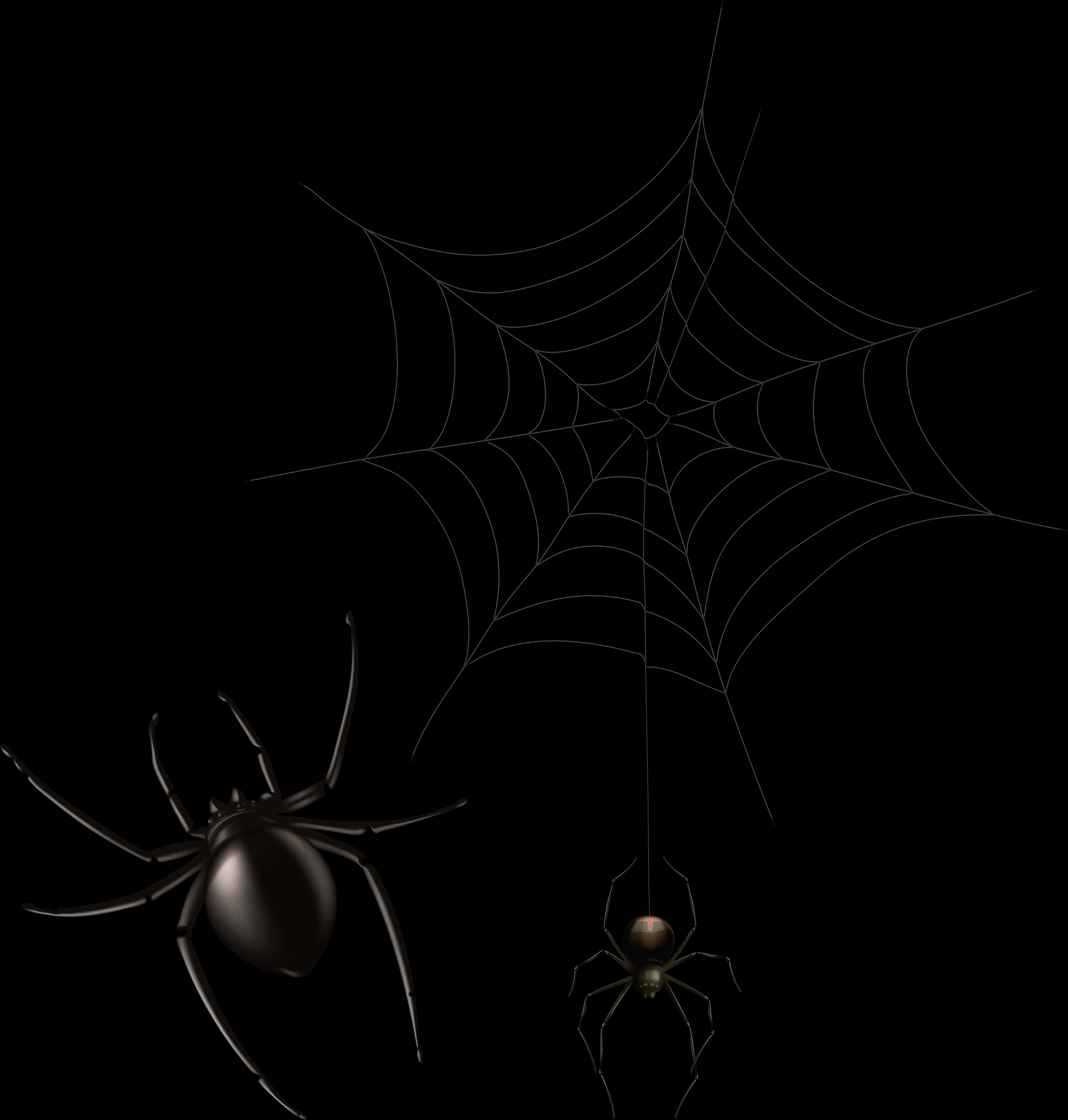 Spiders_on_ Web_in_ Darkness PNG