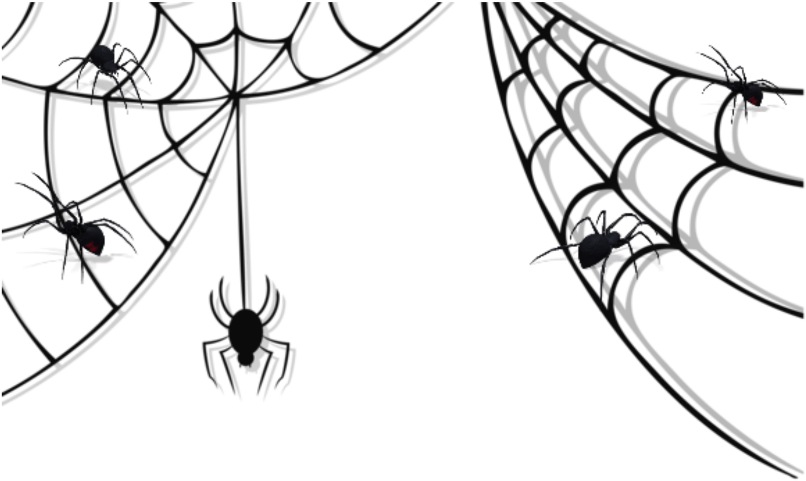 Spiders_on_ Web_ Silhouette PNG