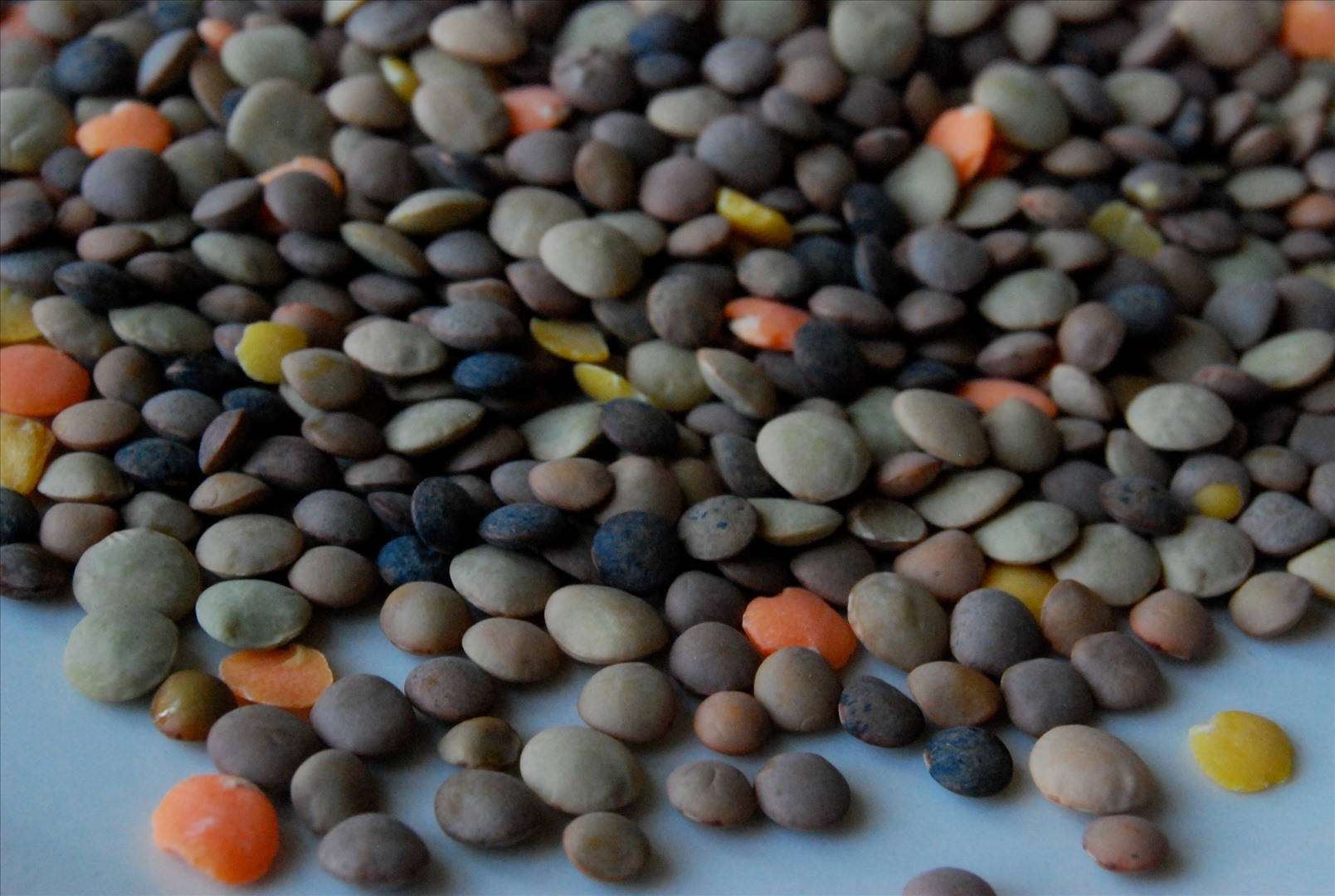 Colorful Lentils Displayed on a Sky Blue Surface Wallpaper