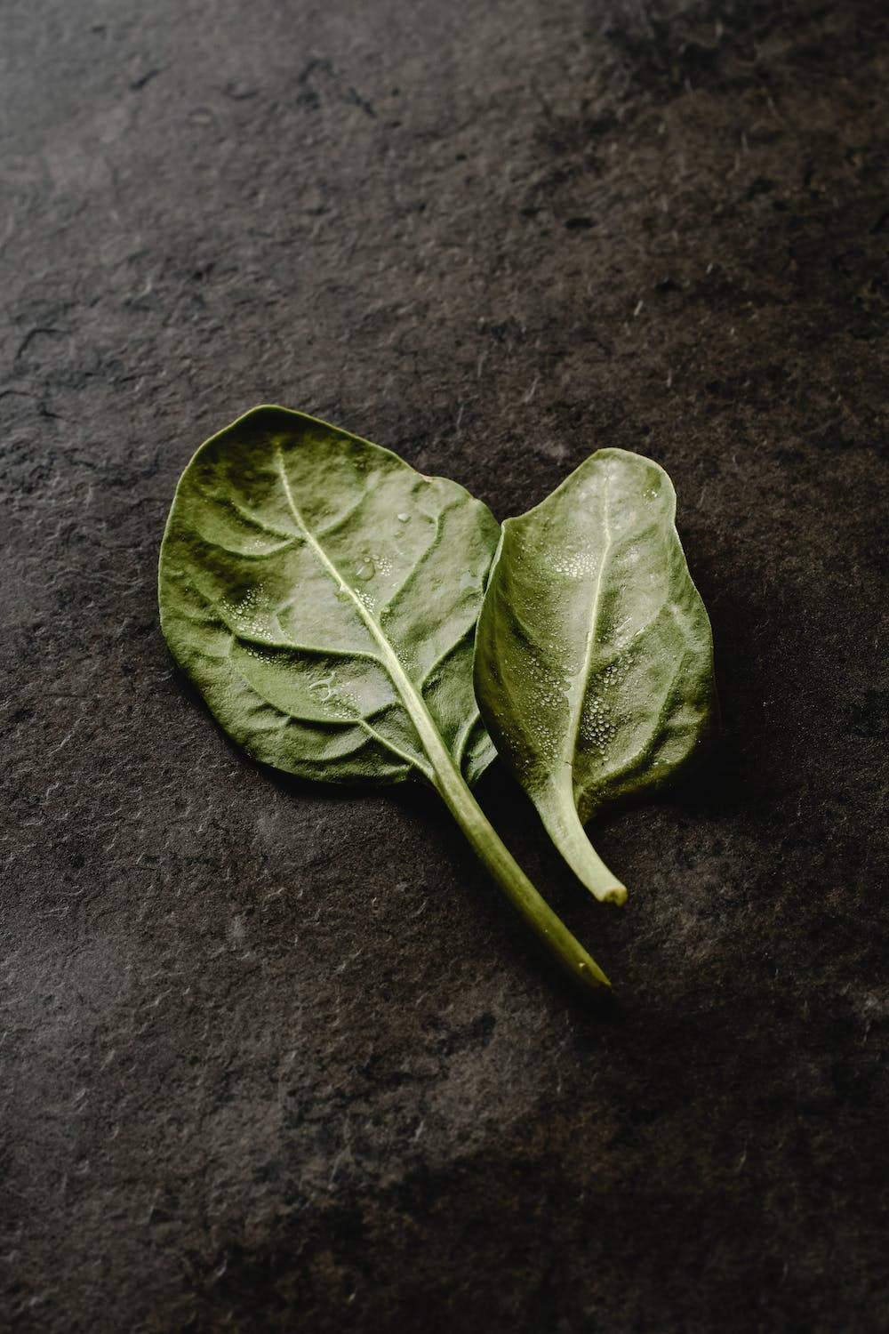 Fresh Spinach Leaves on a Black Surface Wallpaper