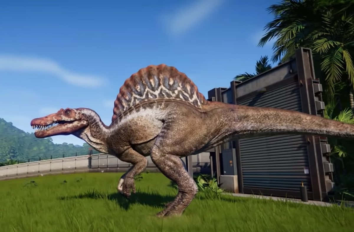 En gammel Spinosaurus dinosaur fossilerer dens bytte. Wallpaper