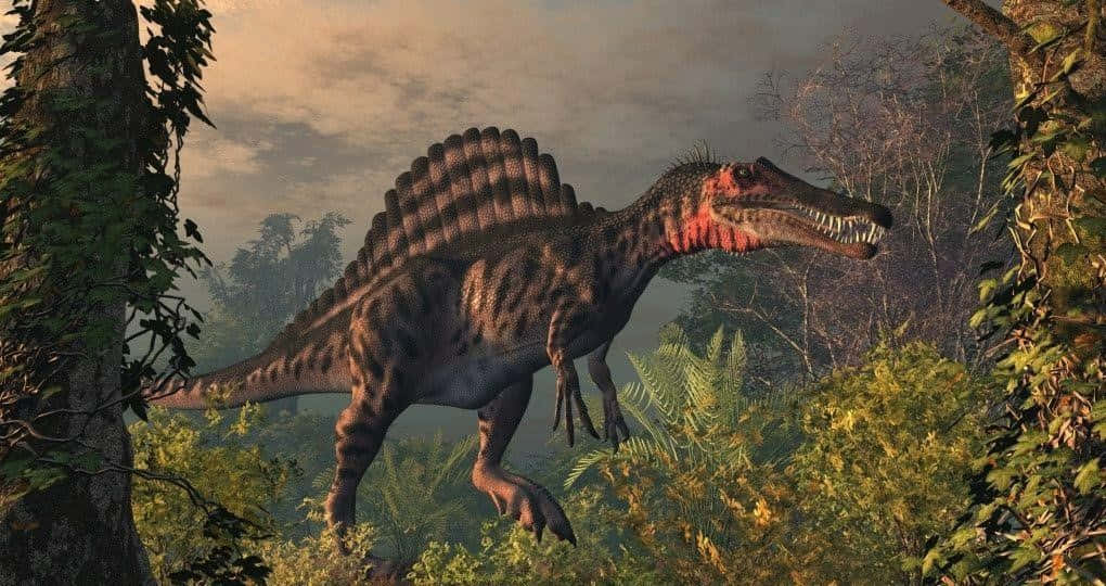 Spinosaurus In The Forest Wallpaper