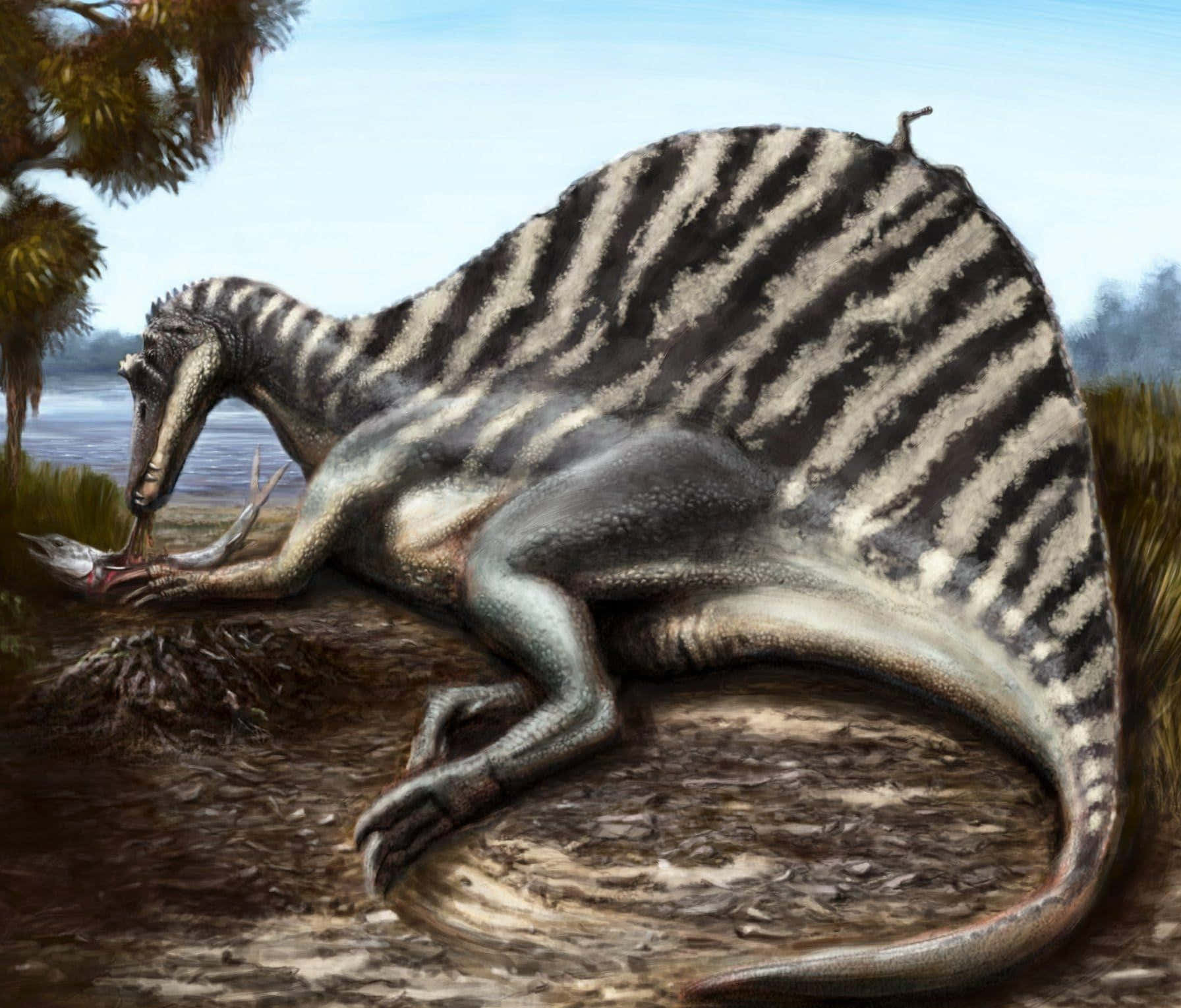 Spinosaurus,der Einen Fisch Frisst. Wallpaper