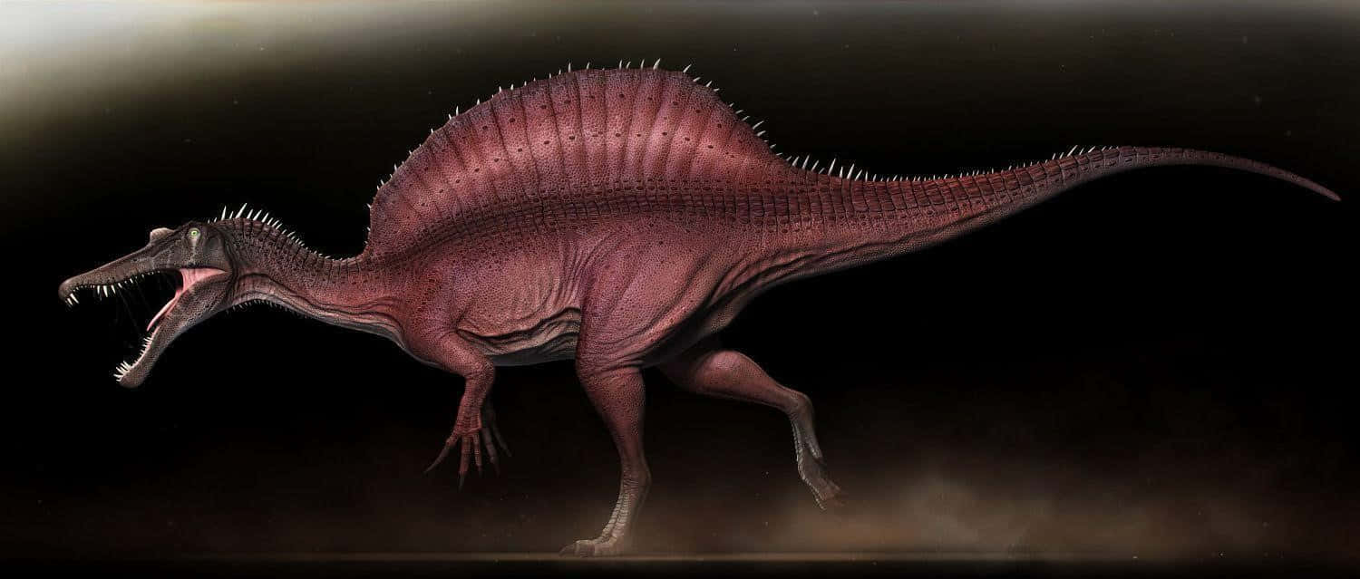 Bildjättestor Spinosaurus Som Äter Byte. Wallpaper