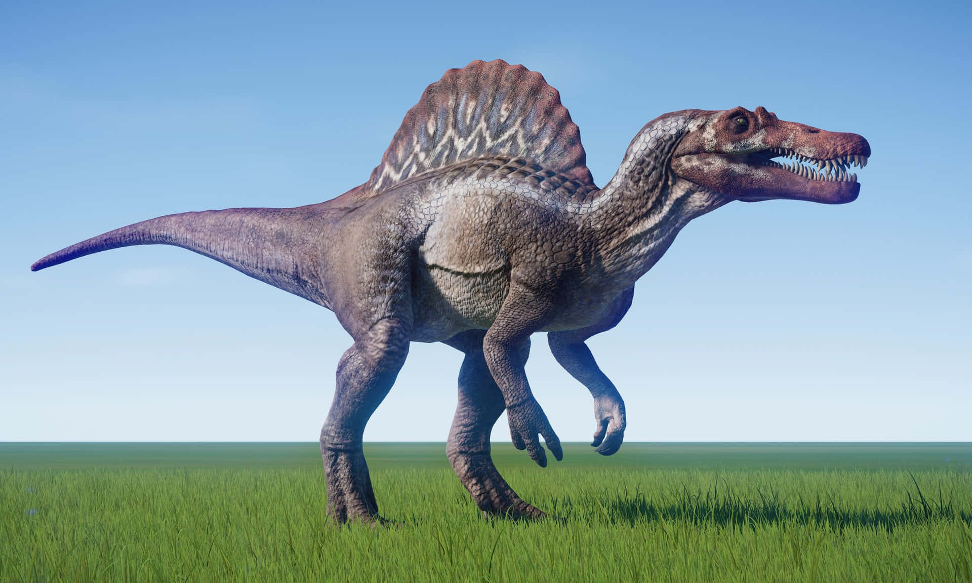A close-up of a Spinosaurus, a prehistoric creature that looked like a hybrid of a dinosaur and a crocodile Wallpaper