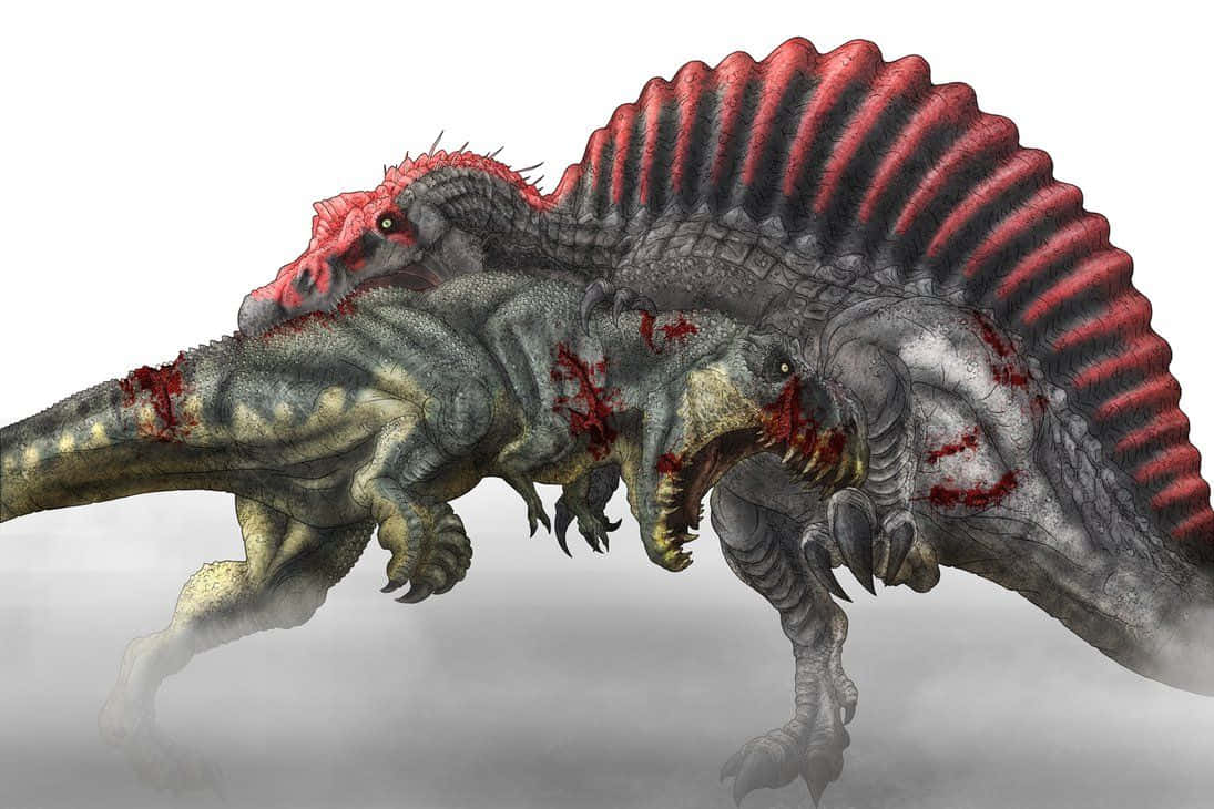 Spinosaurusgegen T-rex Wallpaper