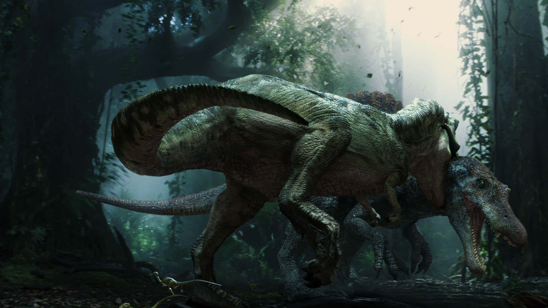 Den voldsomme Spinosaurus, en kæmpe rovdyr fra kridttiden, brøler tværs gennem tapetet. Wallpaper