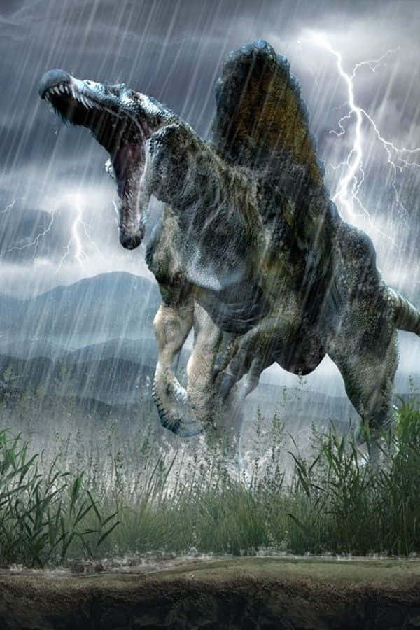 Ettpar Spinosaurusar Som Betraktar Varandra. Wallpaper