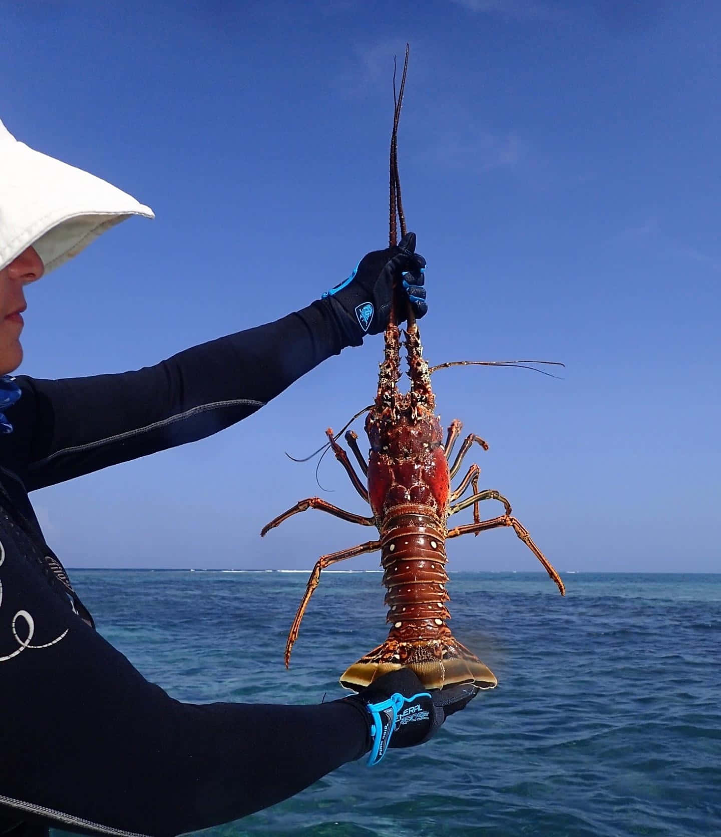 Spiny Lobster Held Aloftat Sea Wallpaper