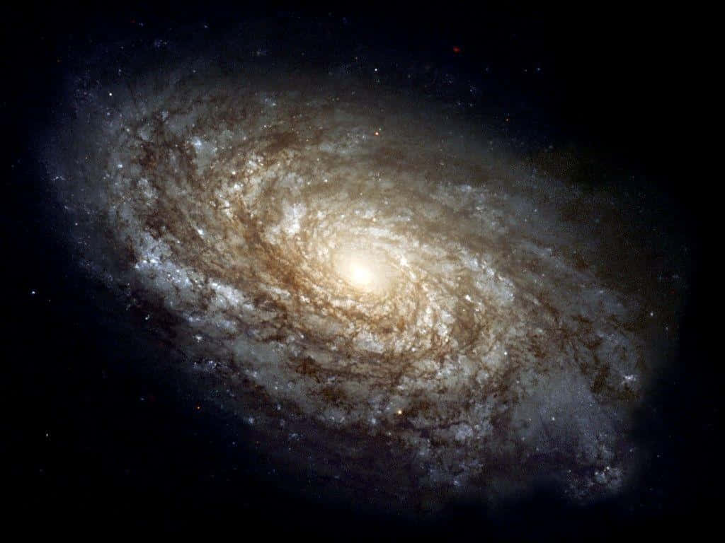 Spiral Galaxy in the Night Sky Wallpaper
