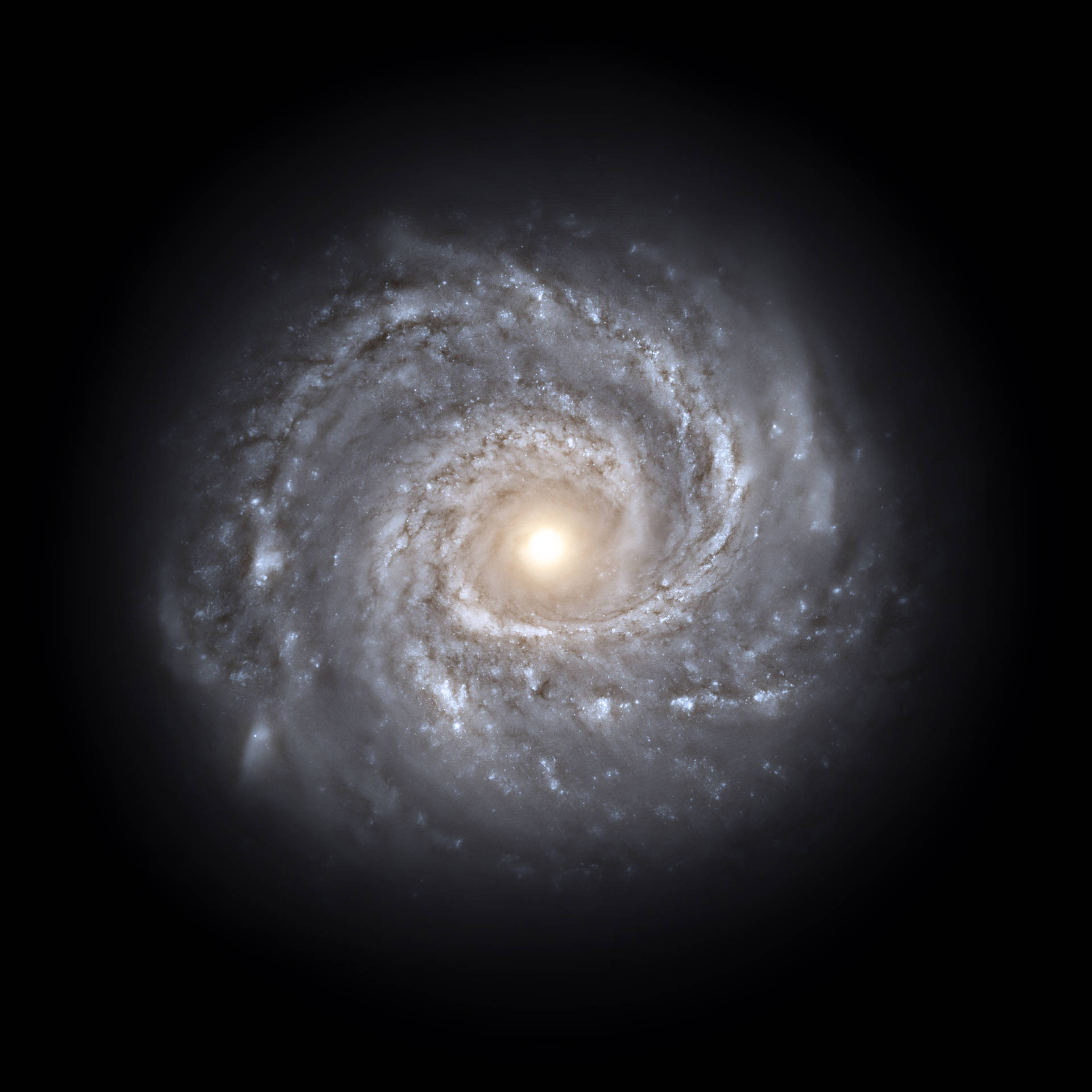Spiral Galaxy Milky Way In Outer Space