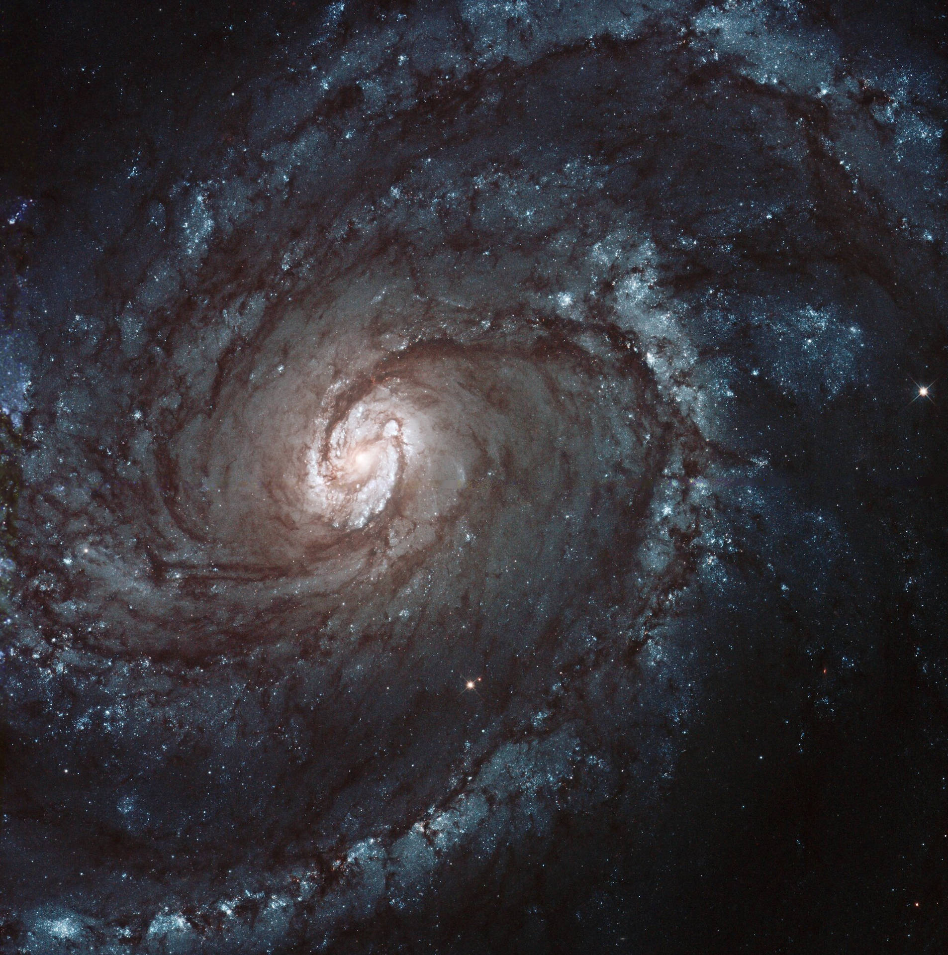 Spiral Galaxy Milky Way In Space