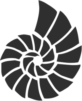 Spiral Shell Graphic Black Background PNG