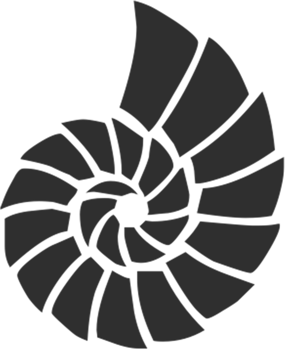 Spiral Shell Graphic PNG