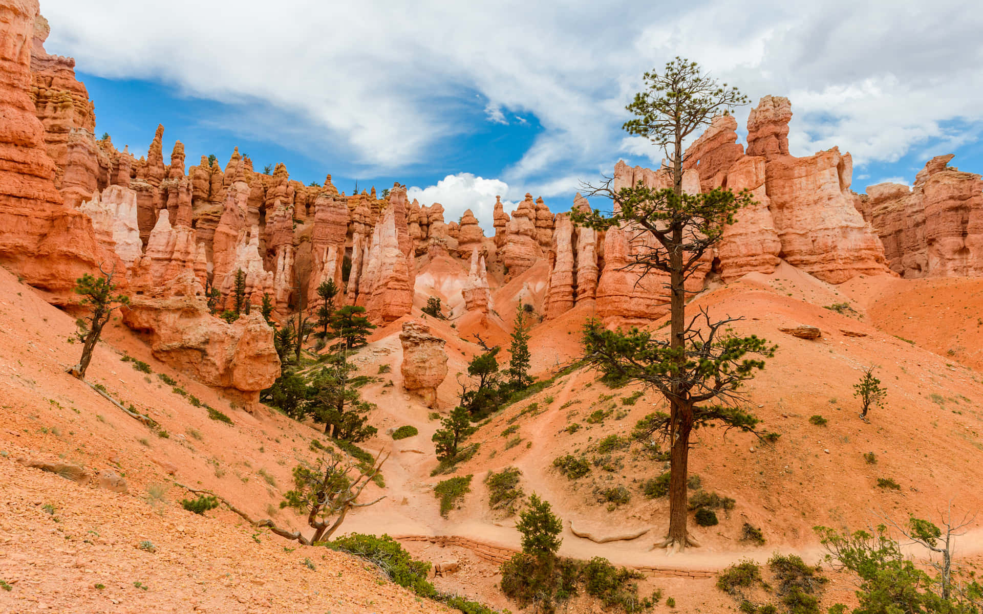 Spire Like Rock Formations Bryce Canyon National Park Wallpaper