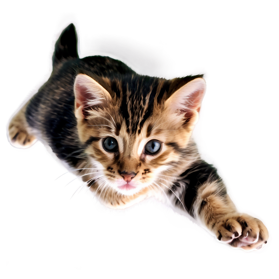 Spirited Kitten Leap Png 98 PNG