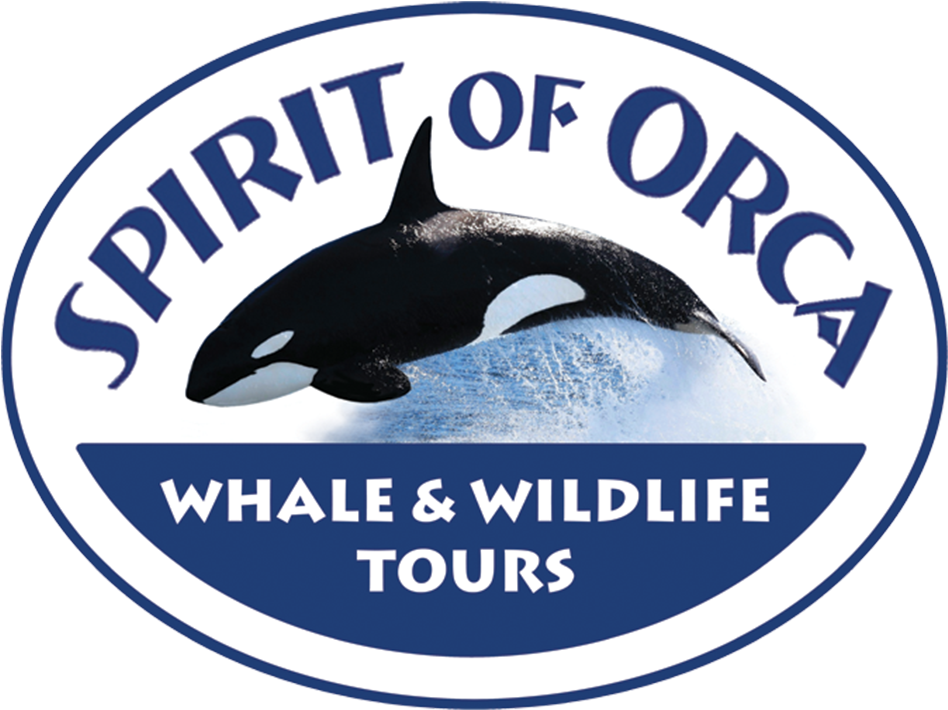 Spiritof Orca Whale Watching Tours Logo PNG
