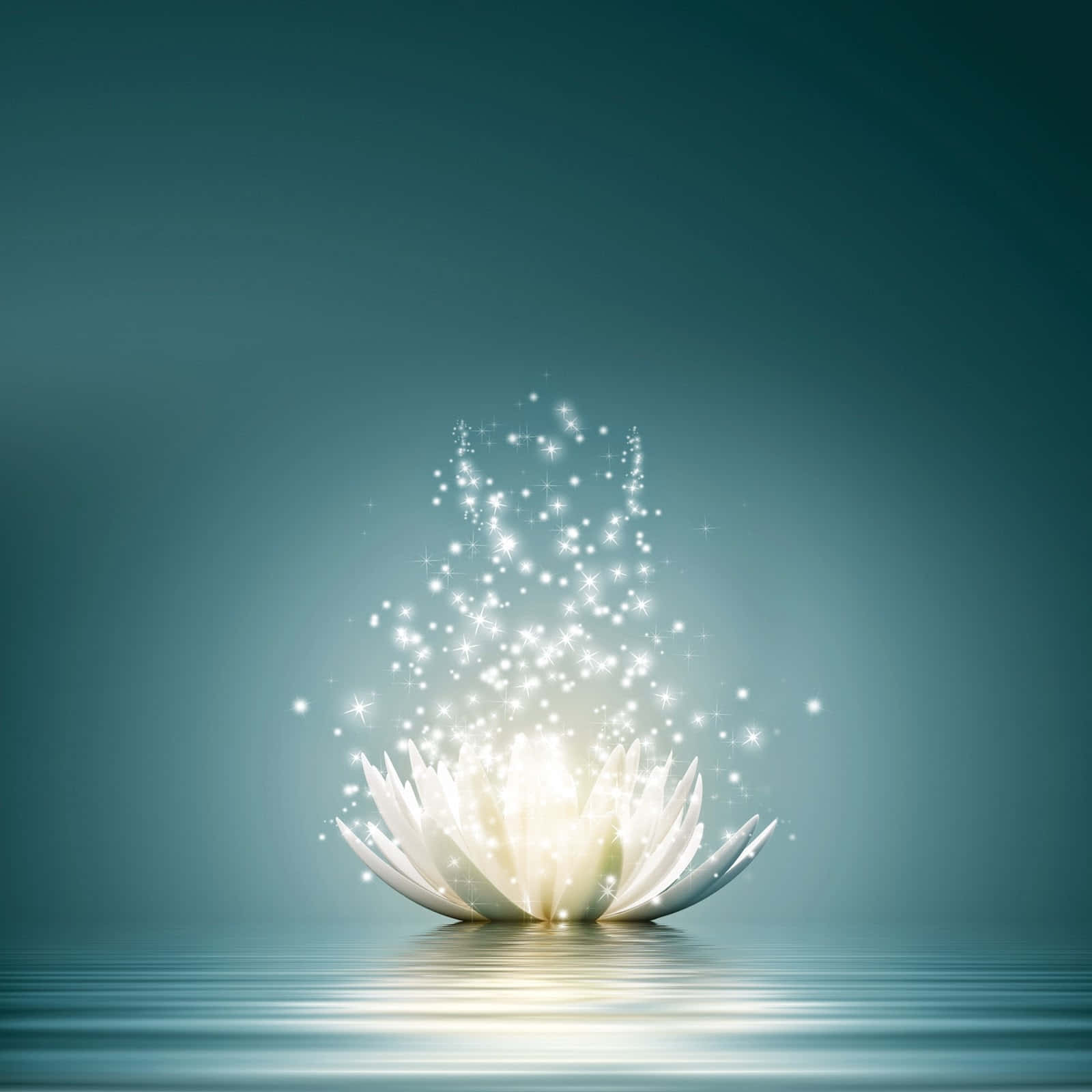 Eineweiße Lotusblume Mit Sternen Auf Dem Wasser Wallpaper