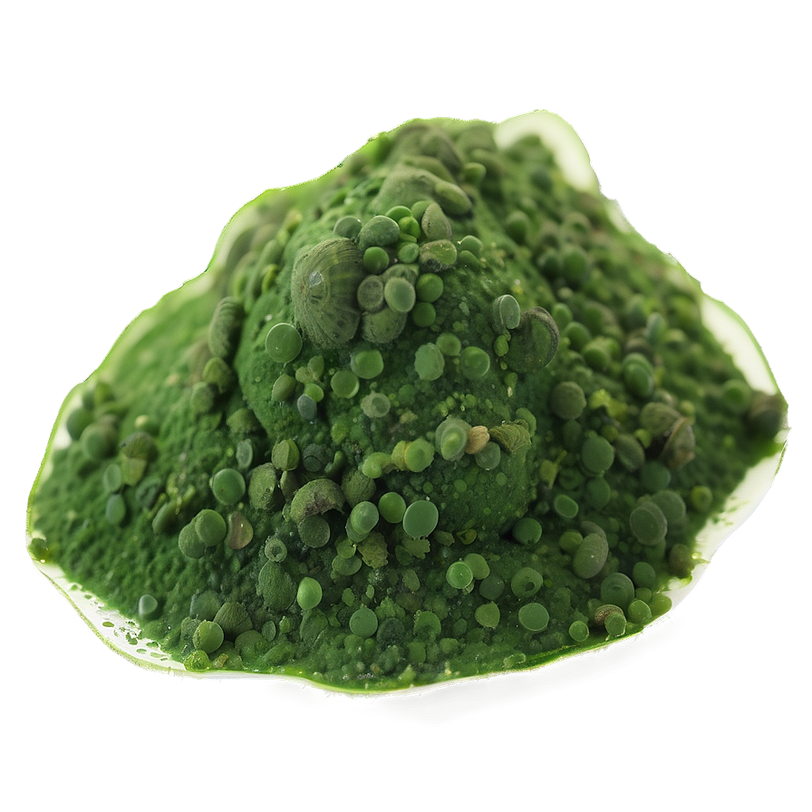 Spirulina Algae Close-up Png Wsj74 PNG