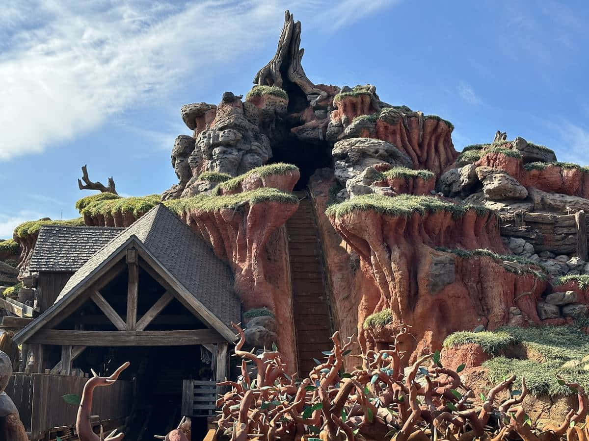 Soar Through the Wilderness with a Spectacular Journey Aboard Splash Mountain