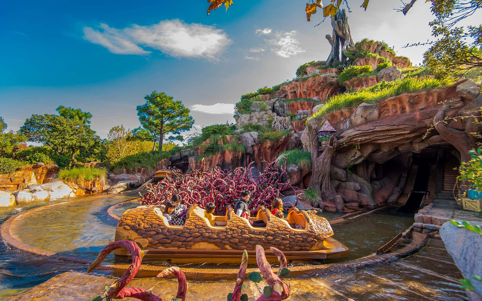 A picturesque view of Splash Mountain