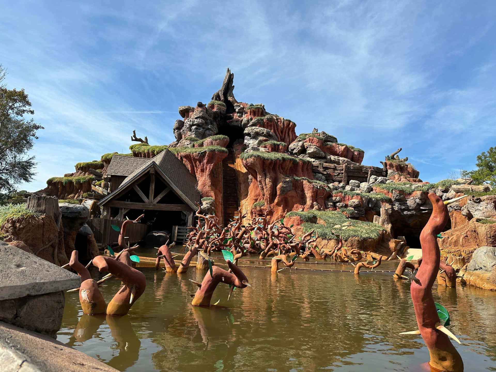 Enjoy the thrill of Splash Mountain in Magic Kingdom, Disney World