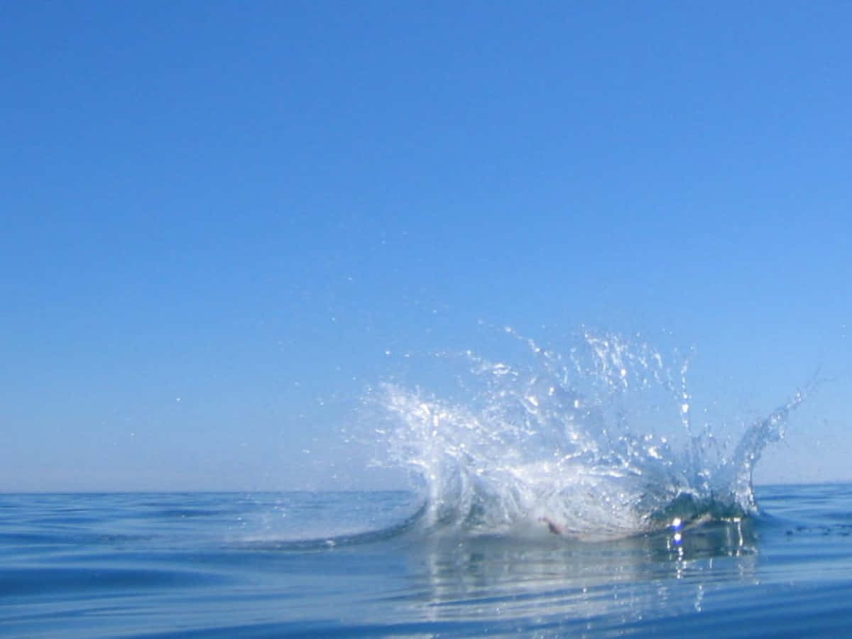Unuomo Sta Saltando In Acqua Con Una Tavola Da Surf.