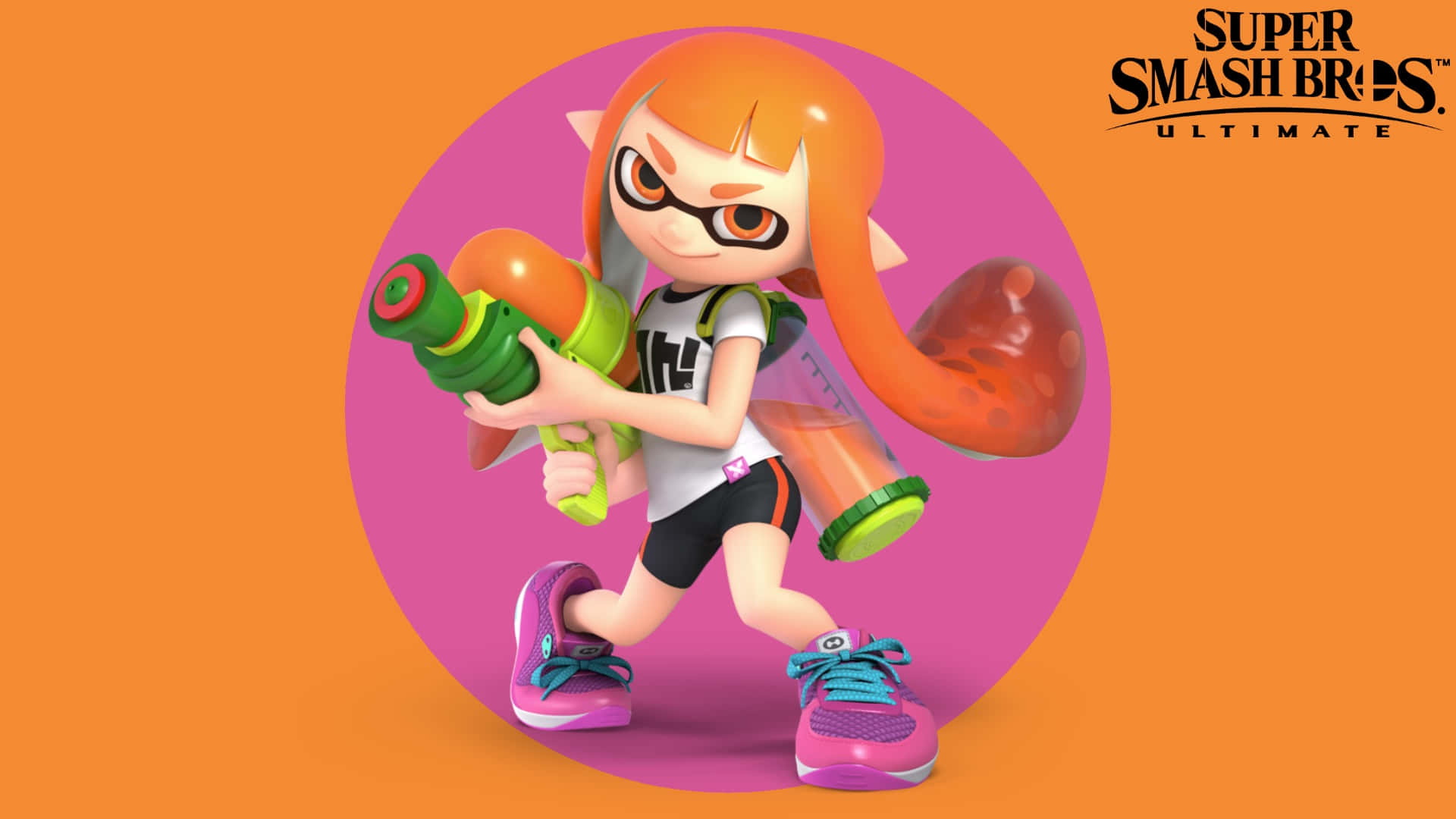Unmasked Character in Splatoon Video Game