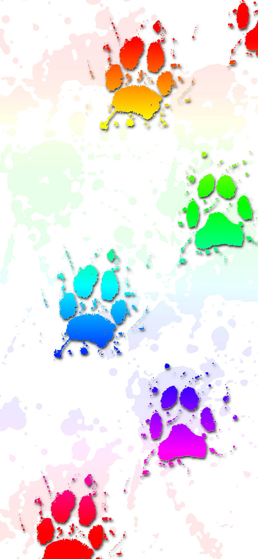 Splatterfarbe Hundepfoten Wallpaper