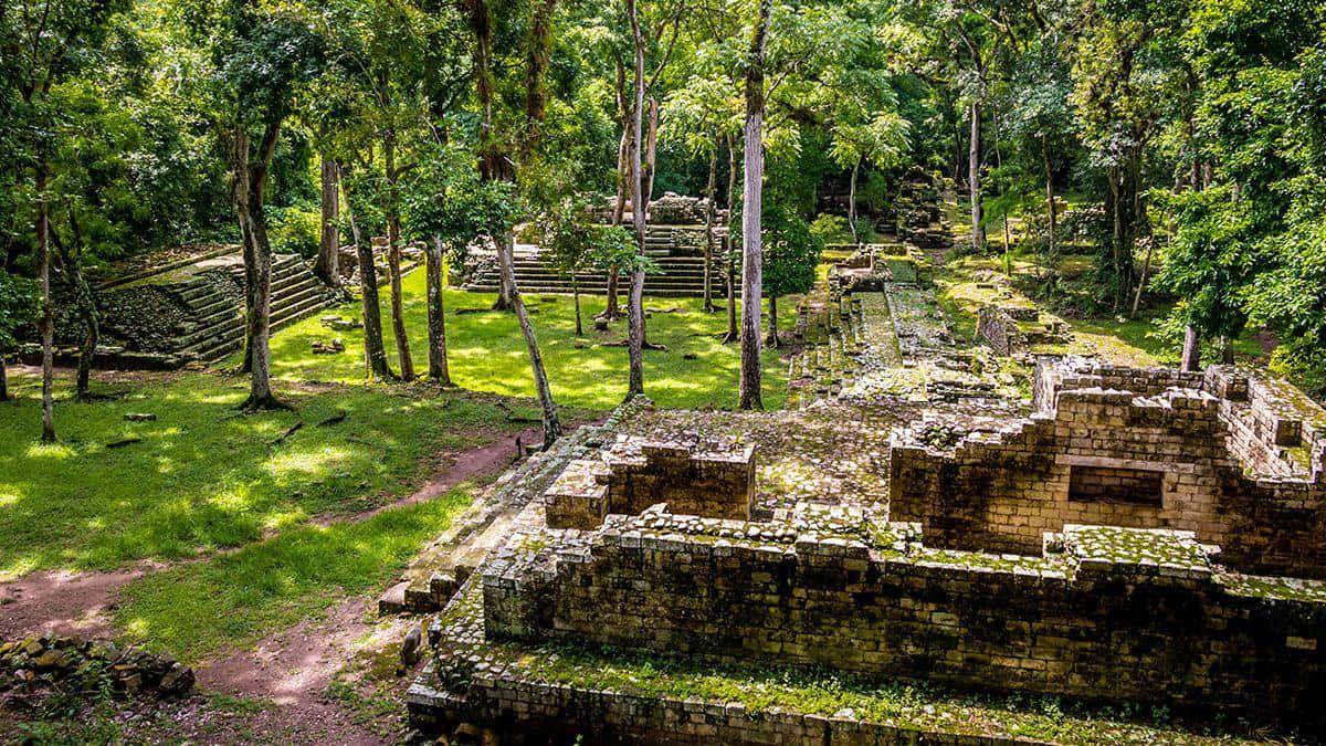 Splendid View Of The Ancient Mayan Ruins Of Copan Wallpaper