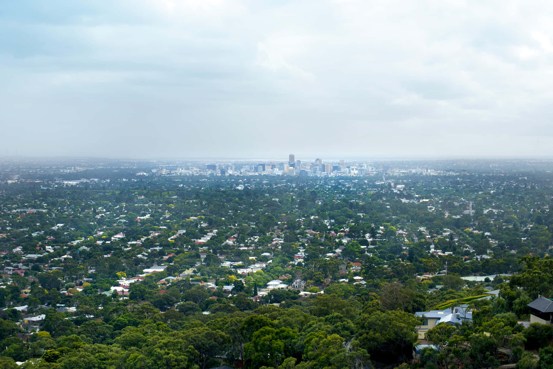 Splendidavista Urbana Di Adelaide, Sud Australia Al Tramonto