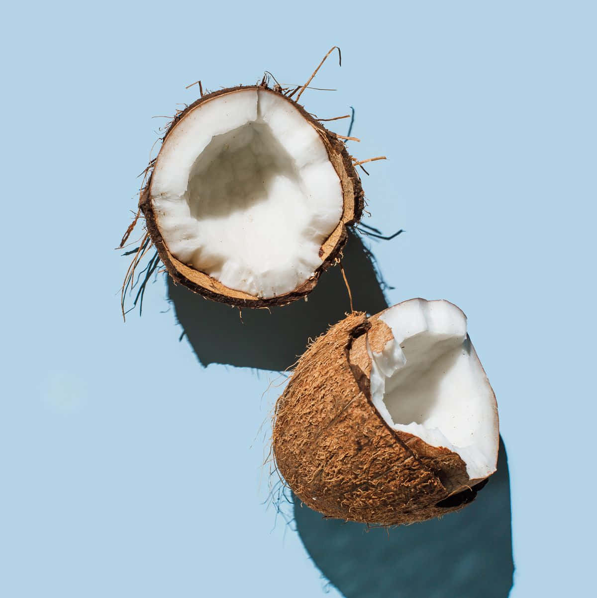 Split Coconut Blue Background Wallpaper