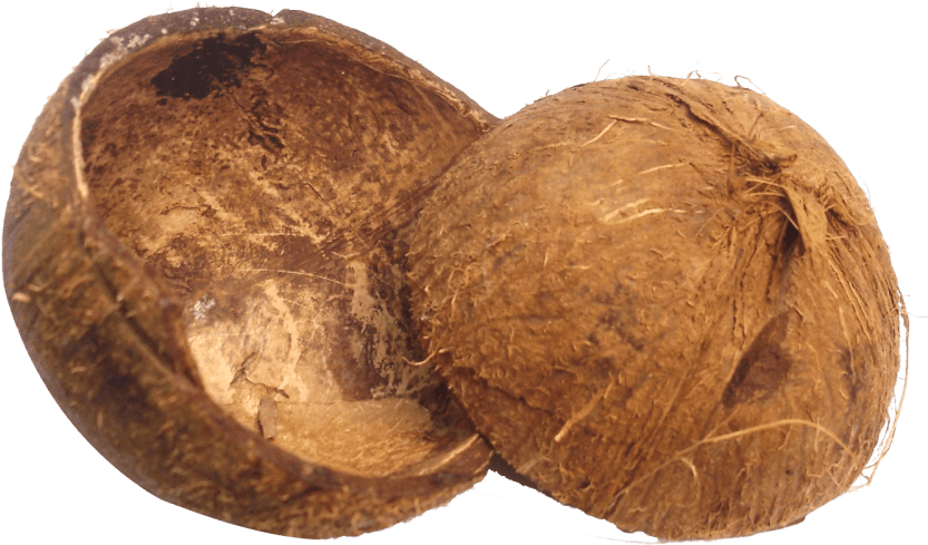 Split Coconut Halves PNG