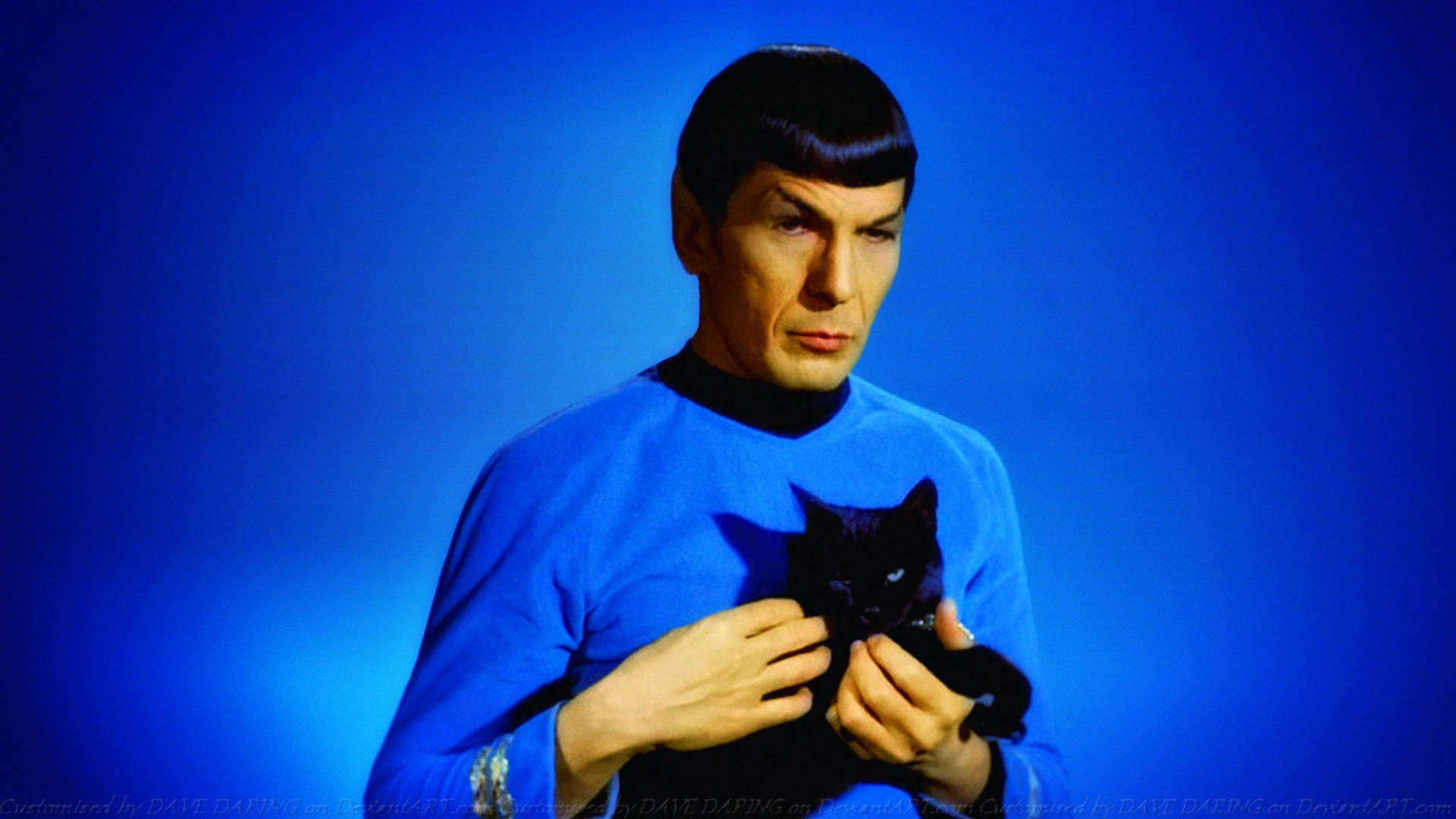 Spock With Black Cat Wallpaper