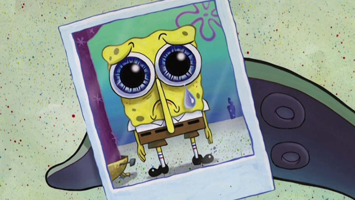 Spongebob græder i Polaroid Wallpaper