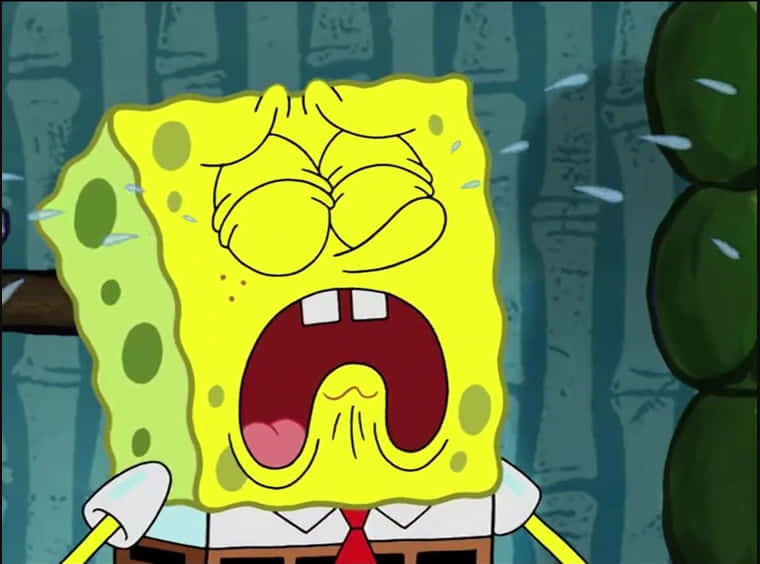 Spongebob Crying Out Loud Wallpaper