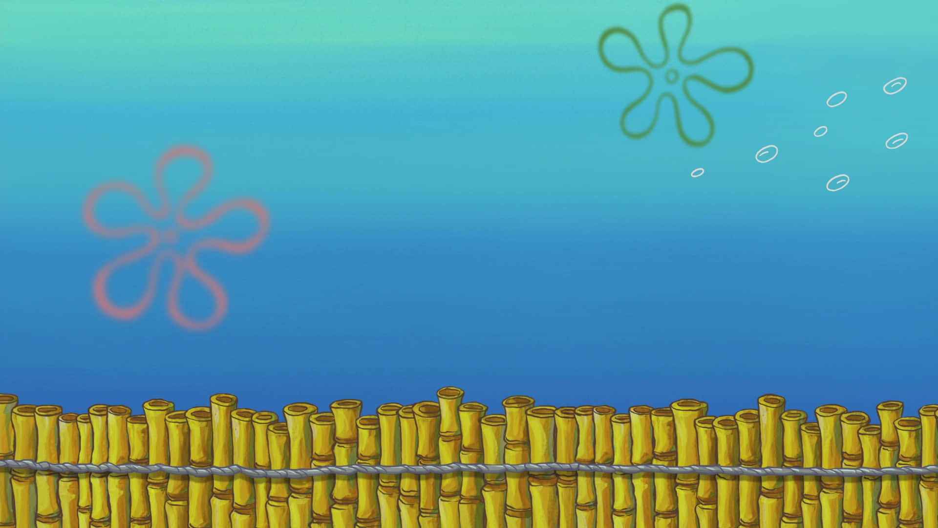 Zoom into the world of Spongebob Squarepants