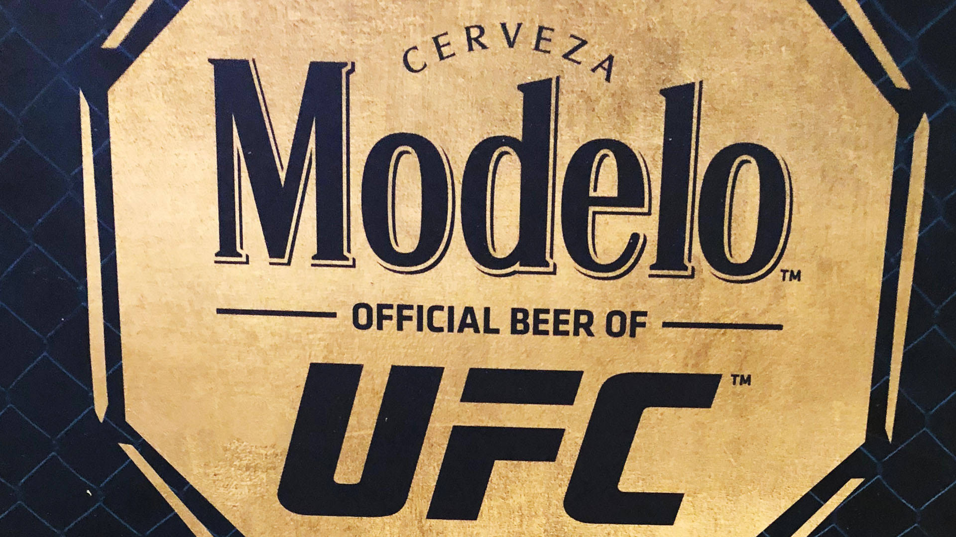 Sponsorship Banner Of UFC For Modelo Especial Wallpaper