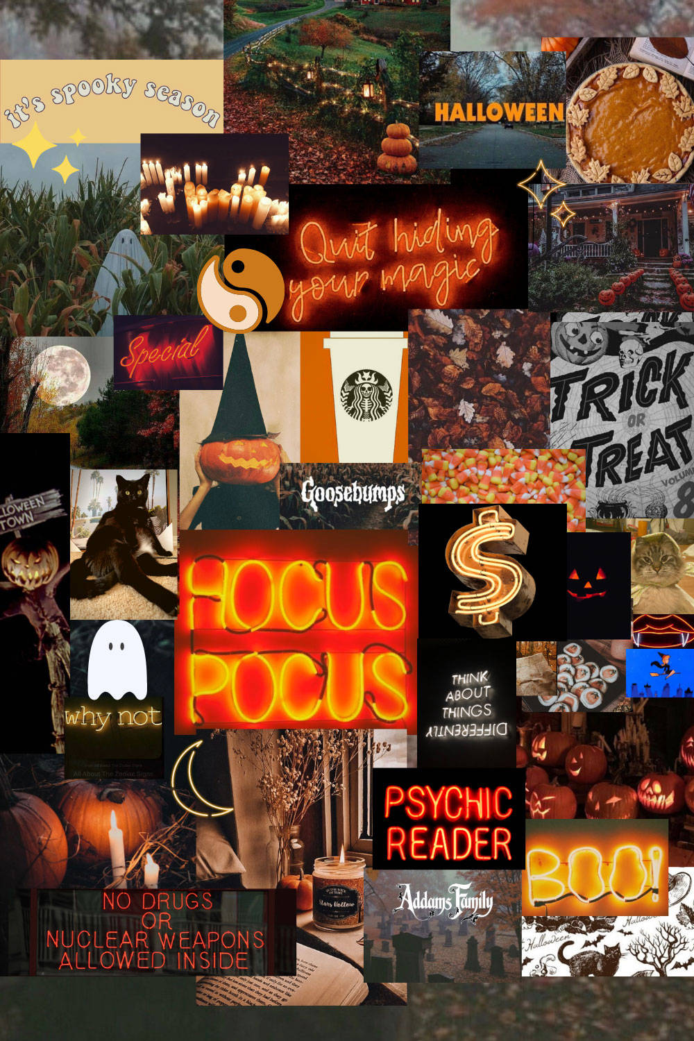 Appreciating the beauty of the spooky season Wallpaper
