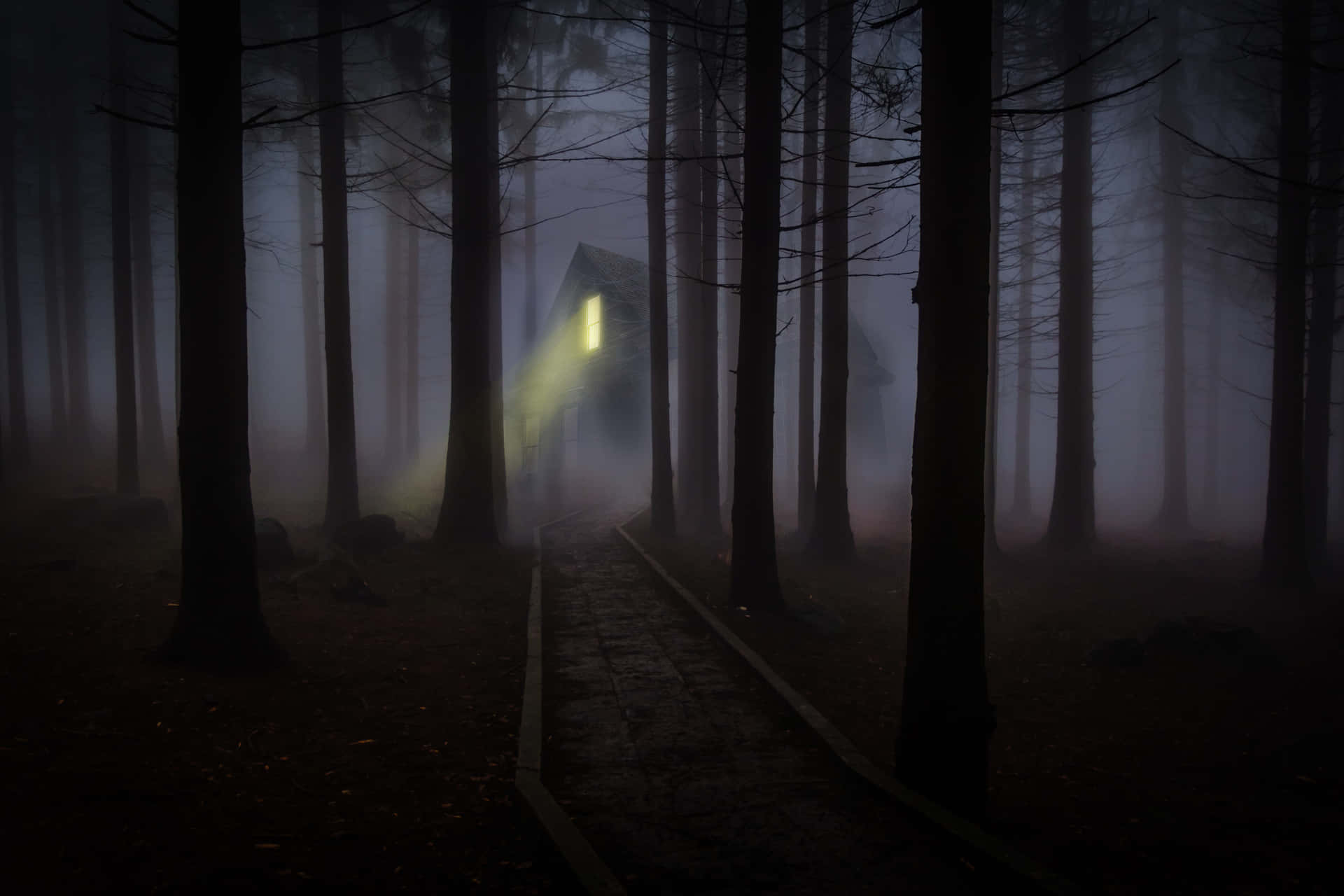 Spooky Forest Desktop Wallpaper