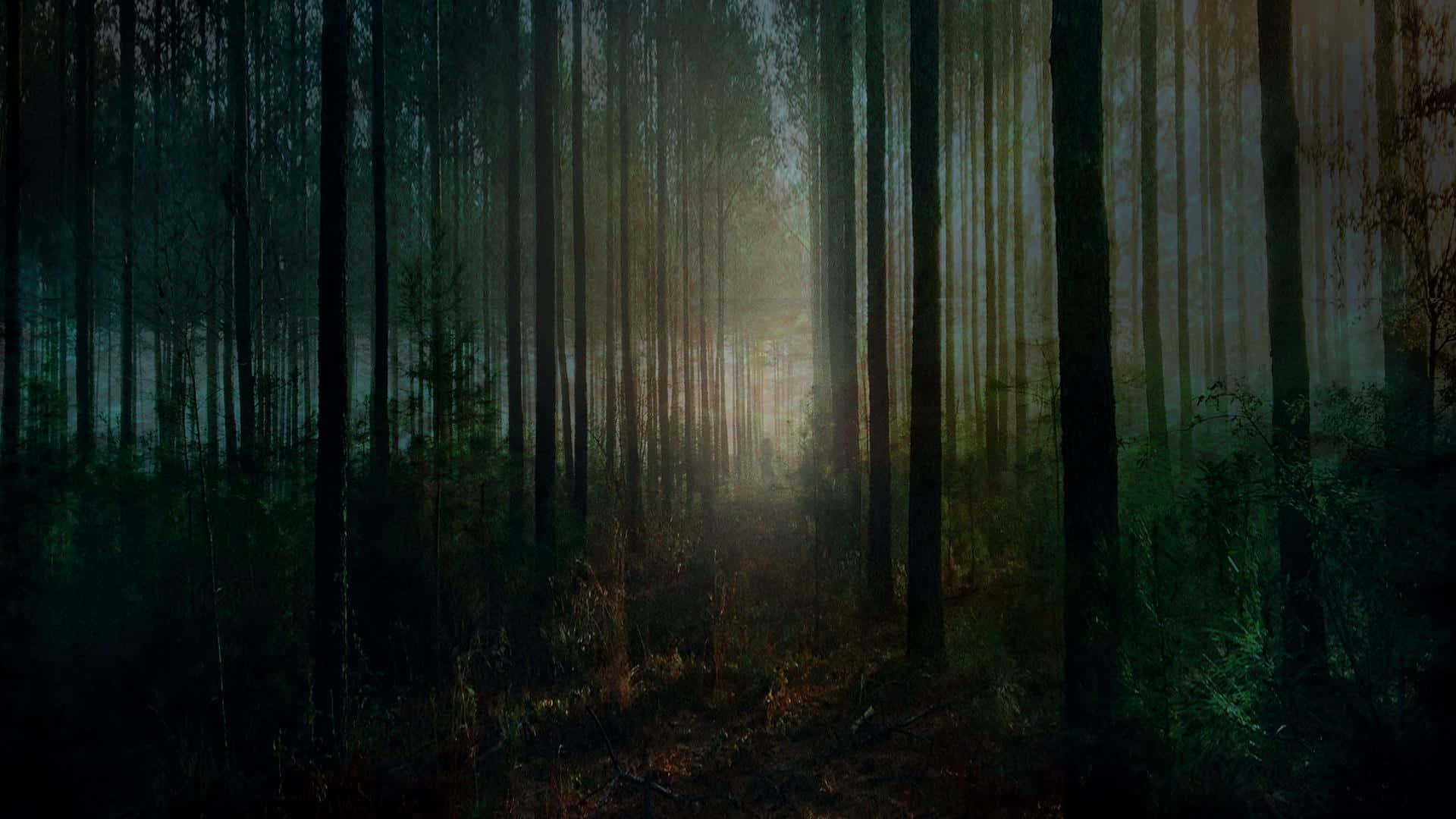 Gruseligerwald Als Hintergrundbild Für Den Desktop. Wallpaper