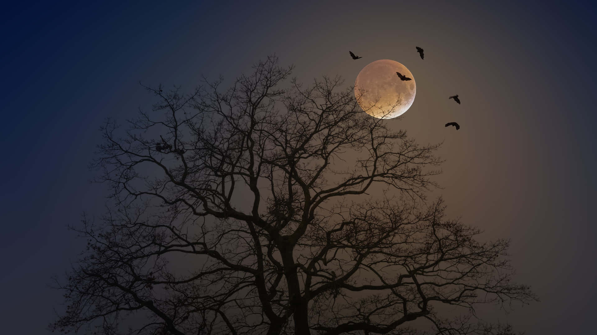 Spooky Full Moon Desktop Wallpaper